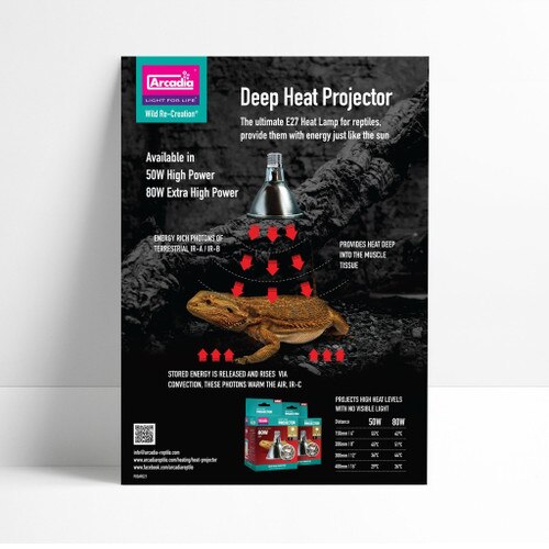 Arcadia Deep Heat Projector A2 Poster Monkfield Reptile